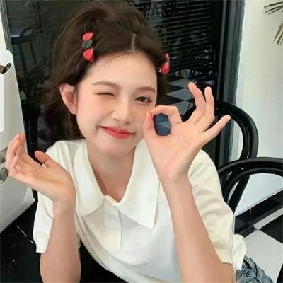 菜鸟总动员