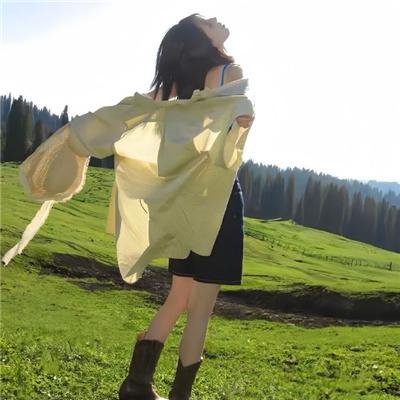 盗贼生涯