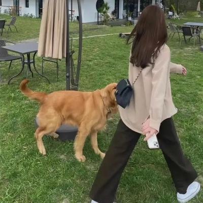 歪爱时代第二季